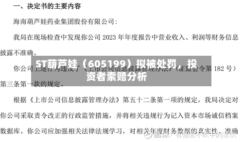ST葫芦娃（605199）拟被处罚，投资者索赔分析-第2张图片