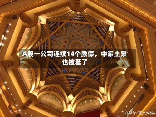 A股一公司连续14个跌停，中东土豪也被套了-第2张图片