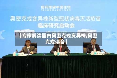 【专家解读国内奥密克戎变异株,奥密克戎读音】-第2张图片