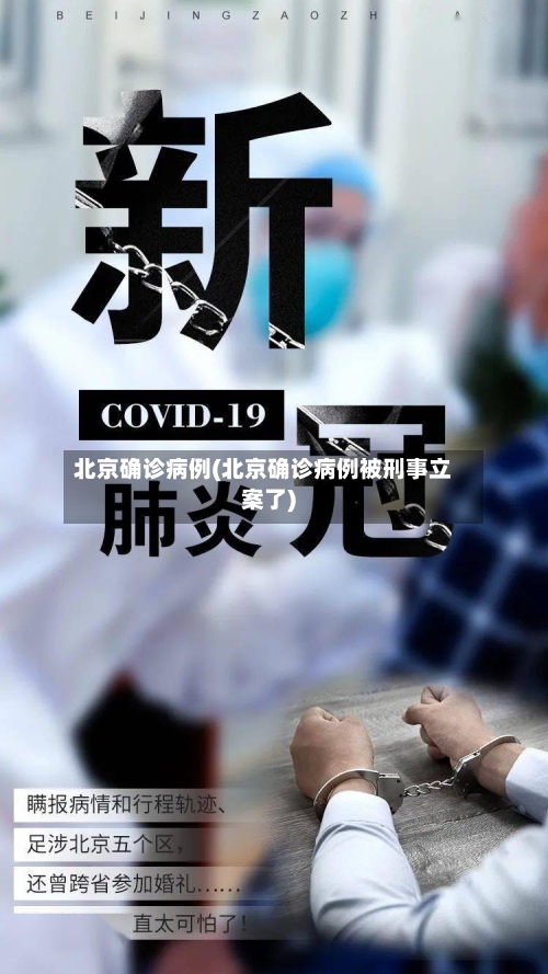 北京确诊病例(北京确诊病例被刑事立案了)-第2张图片