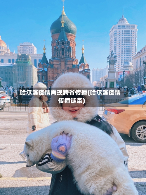 哈尔滨疫情再现跨省传播(哈尔滨疫情传播链条)