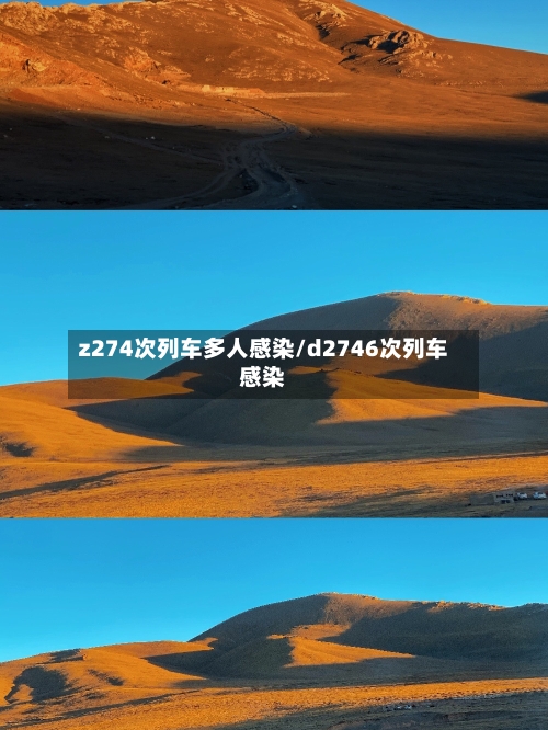 z274次列车多人感染/d2746次列车感染-第2张图片