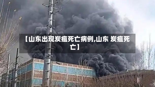 【山东出现炭疽死亡病例,山东 炭疽死亡】-第2张图片