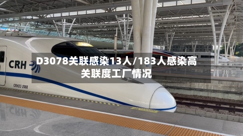 D3078关联感染13人/183人感染高关联度工厂情况
