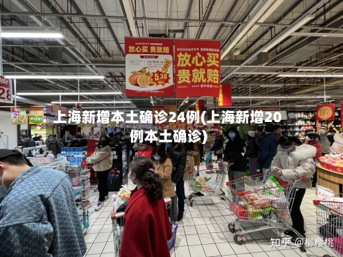 上海新增本土确诊24例(上海新增20例本土确诊)-第2张图片