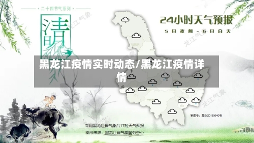 黑龙江疫情实时动态/黑龙江疫情详情-第2张图片
