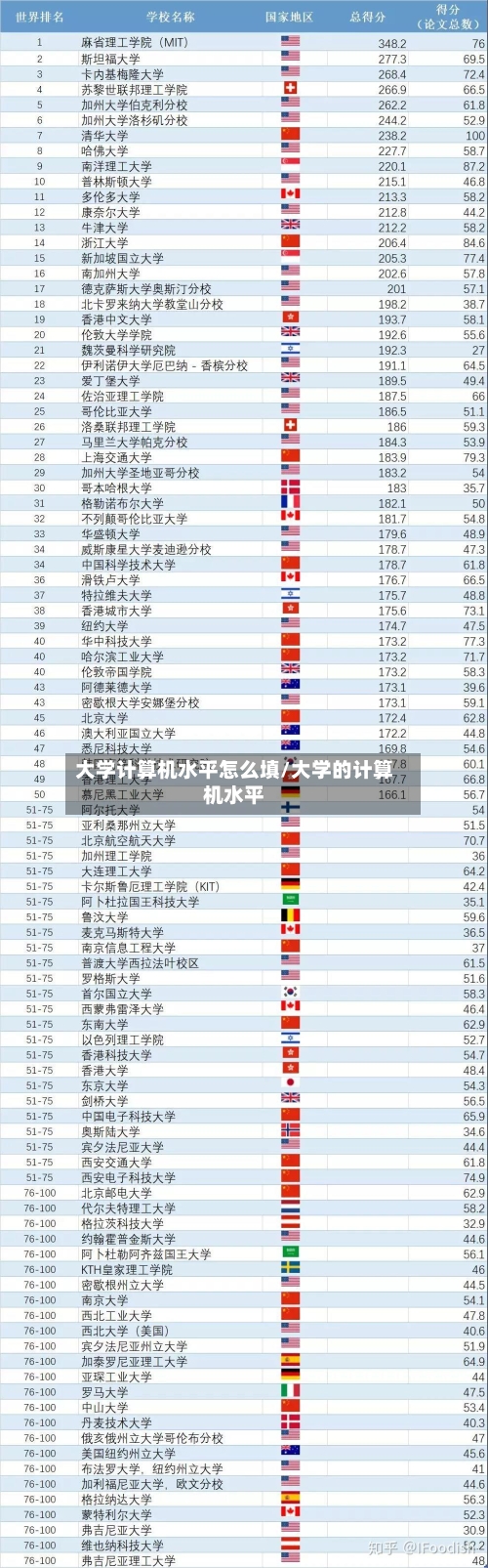 大学计算机水平怎么填/大学的计算机水平-第2张图片