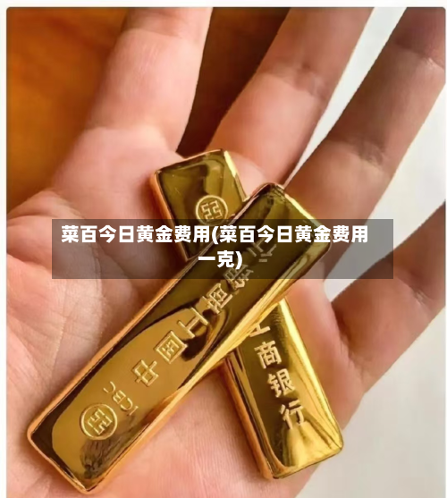 菜百今日黄金费用(菜百今日黄金费用一克)