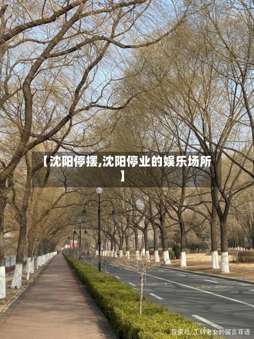 【沈阳停摆,沈阳停业的娱乐场所】