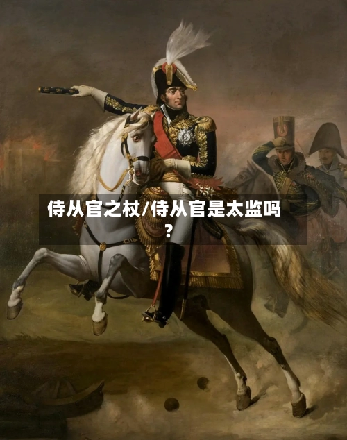 侍从官之杖/侍从官是太监吗?-第2张图片