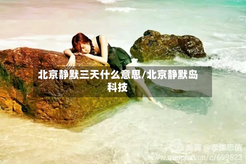 北京静默三天什么意思/北京静默岛科技