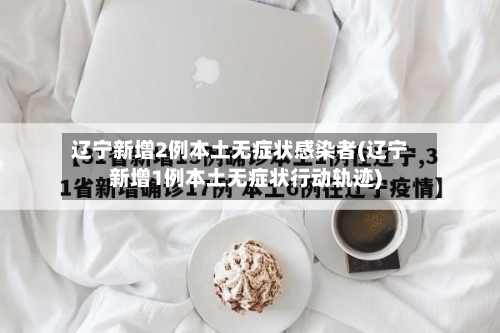 辽宁新增2例本土无症状感染者(辽宁新增1例本土无症状行动轨迹)-第2张图片
