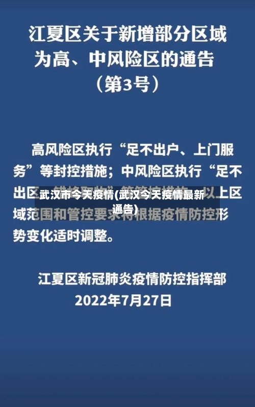 武汉市今天疫情(武汉今天疫情最新通告)-第3张图片