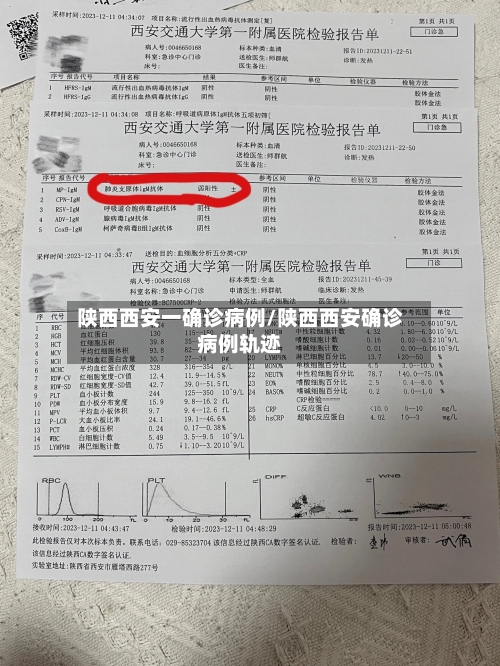 陕西西安一确诊病例/陕西西安确诊病例轨迹-第2张图片