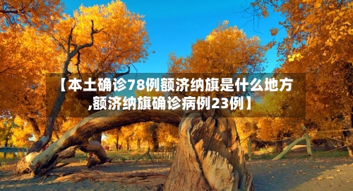 【本土确诊78例额济纳旗是什么地方,额济纳旗确诊病例23例】