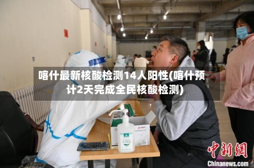 喀什最新核酸检测14人阳性(喀什预计2天完成全民核酸检测)-第2张图片