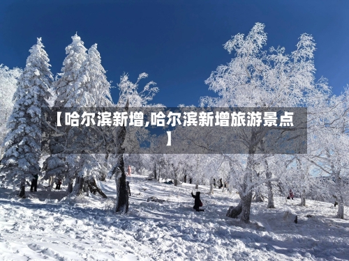 【哈尔滨新增,哈尔滨新增旅游景点】