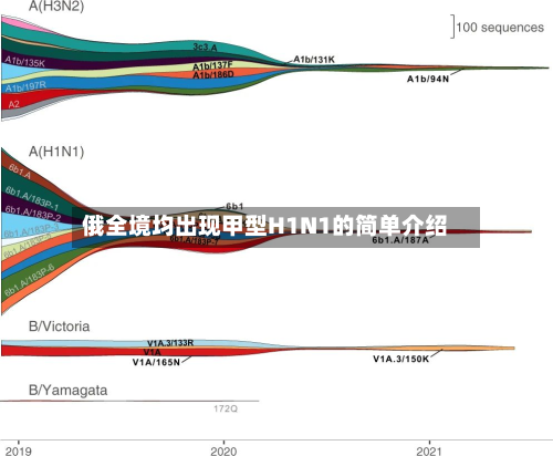 俄全境均出现甲型H1N1的简单介绍