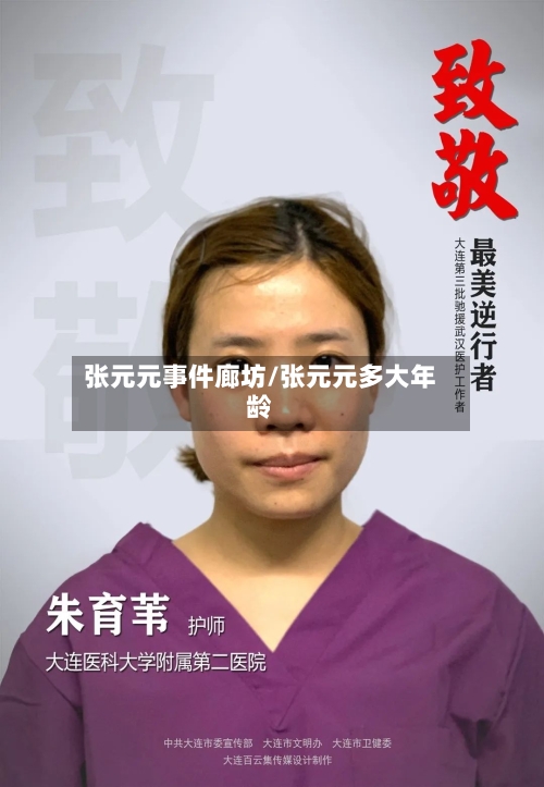 张元元事件廊坊/张元元多大年龄-第3张图片