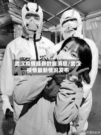 武汉疫情最新数据消息/武汉疫情最新情况发布-第3张图片