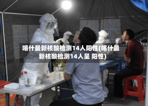 喀什最新核酸检测14人阳性(喀什最新核酸检测14人呈 阳性)-第3张图片