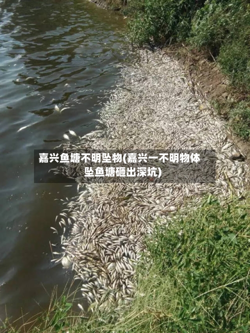 嘉兴鱼塘不明坠物(嘉兴一不明物体坠鱼塘砸出深坑)
