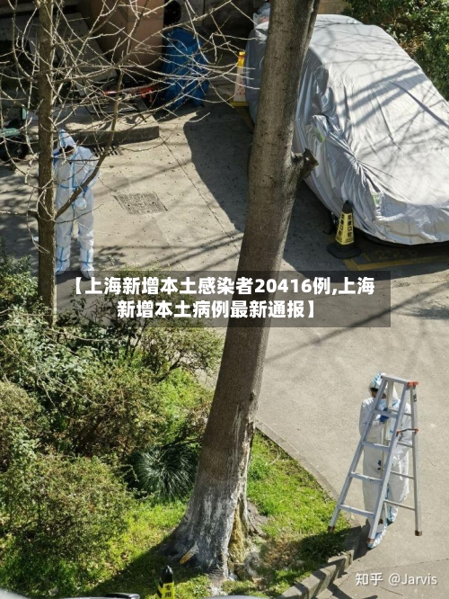 【上海新增本土感染者20416例,上海新增本土病例最新通报】-第3张图片