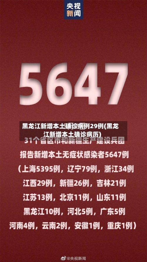 黑龙江新增本土确诊病例29例(黑龙江新增本土确诊病历)-第3张图片