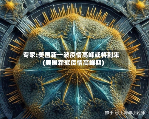 专家:美国新一波疫情高峰或将到来(美国新冠疫情高峰期)-第3张图片