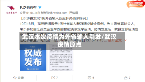 武汉本次疫情为外省输入引发/武汉疫情原点-第2张图片