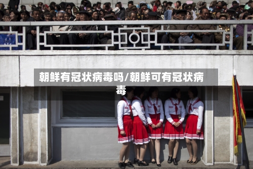 朝鲜有冠状病毒吗/朝鲜可有冠状病毒-第2张图片