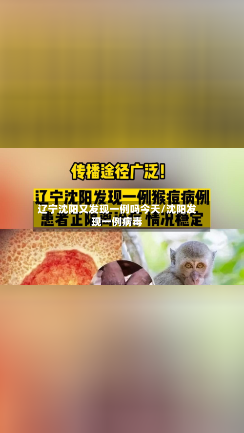 辽宁沈阳又发现一例吗今天/沈阳发现一例病毒