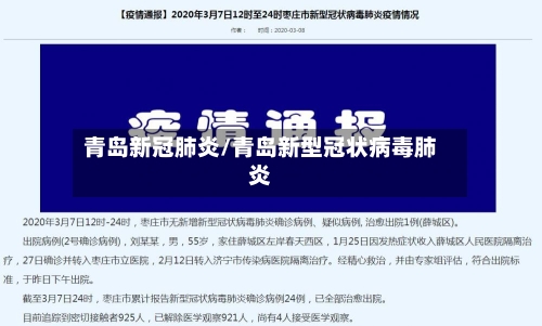 青岛新冠肺炎/青岛新型冠状病毒肺炎-第2张图片