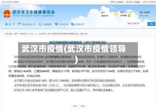 武汉市疫情(武汉市疫情领导)-第3张图片