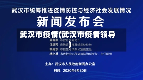 武汉市疫情(武汉市疫情领导)-第2张图片