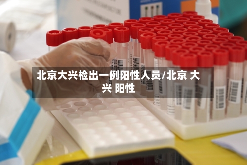 北京大兴检出一例阳性人员/北京 大兴 阳性