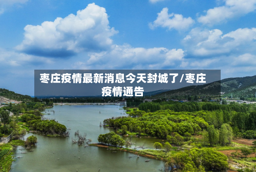 枣庄疫情最新消息今天封城了/枣庄疫情通告