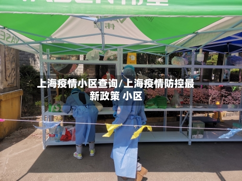 上海疫情小区查询/上海疫情防控最新政策 小区-第3张图片