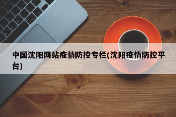 中国沈阳网站疫情防控专栏(沈阳疫情防控平台)